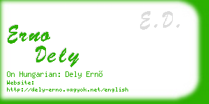 erno dely business card